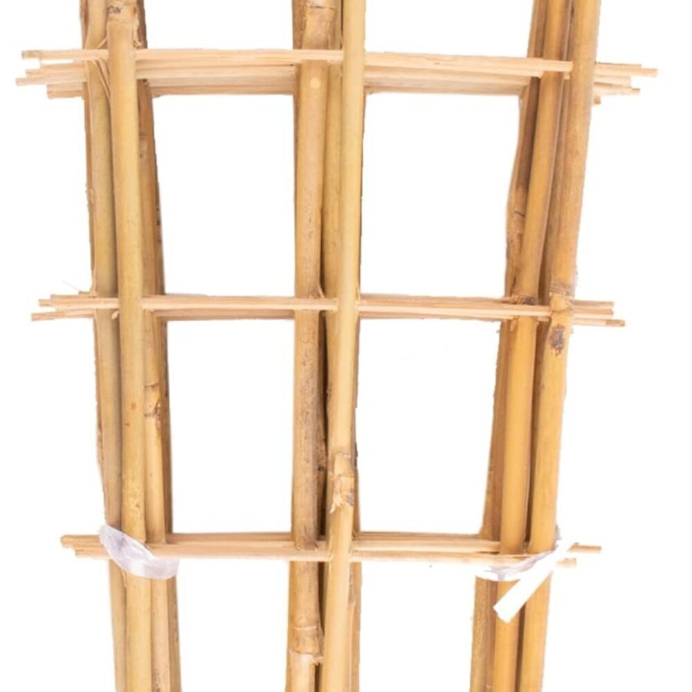 10 Pack Bamboo Trellis for Climbing Plants 16" Natural Garden Ladder Trellis